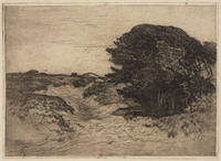 KG 09449
<br/>
Duinlandschap
<br/>
<em>Zwart, Willem de (1862-1931)</em>
